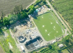 2006 PTAS Requinoa 5