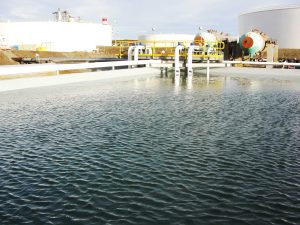 2008 METHANEX DSC00298